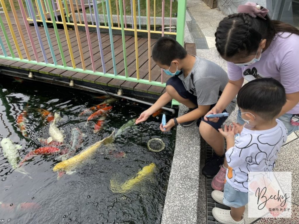 新竹親子餐廳-卡菲努努寵物親子餐廳店家設施介紹